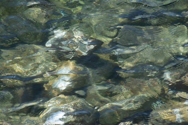 istock Stones in a river under the water. 1190183955