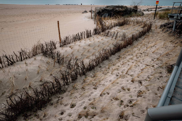 Old fence at the beach of norddeich - ostfriesland- germany