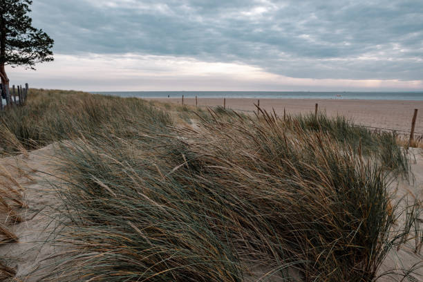 istock Dunes on the beach in Hel 1190186673