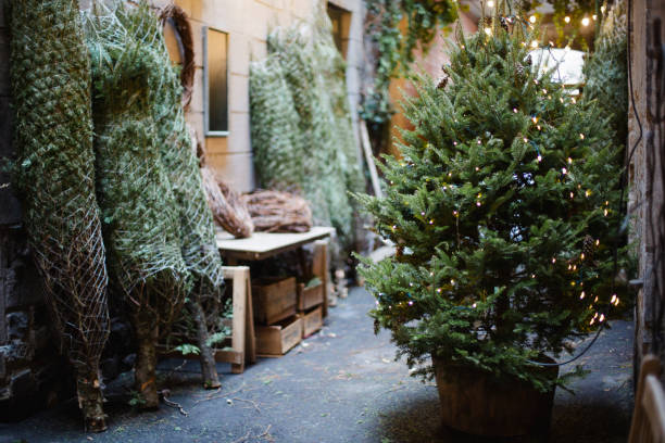 istock Christmas market 1190188426