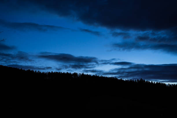 germany, dark blue night sky over beautiful black forest tree top silhouette with stars shining in summer night - forest black forest sky night imagens e fotografias de stock