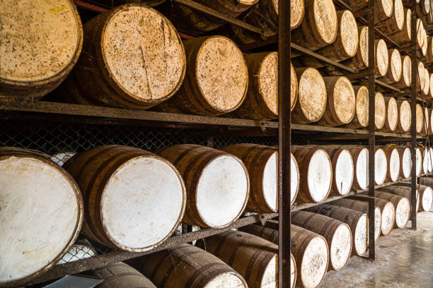 istock Shelves with oak rum barrels 1190193806