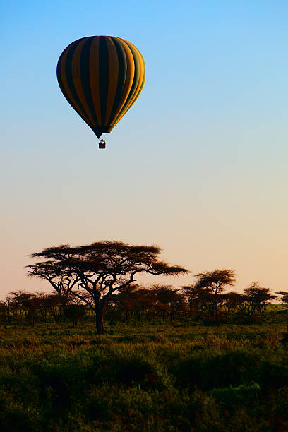 istock Hot air balloon 119019804