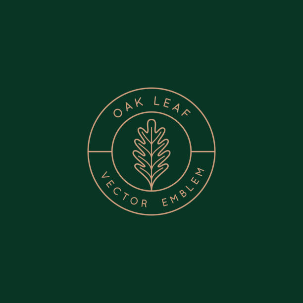 Vector logo design template with oak leaf - abstract emblem and symbol vector art illustration