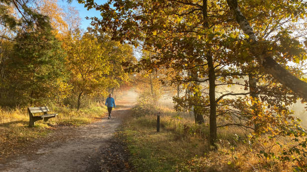 colorear amanecer de la salud - cross autumn sky beauty in nature fotografías e imágenes de stock