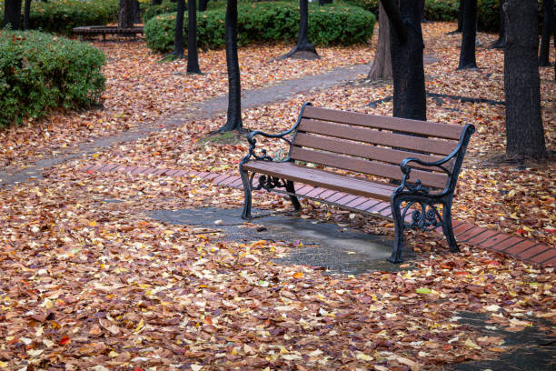 istock Autumn Landscape and Bench in Rainy Park 1190203919