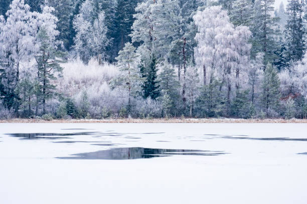 istock Forest lake with water puddle on the ice in winter 1190204470