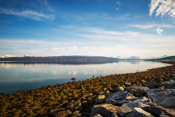 istock nature sceneries along the E6 from Narvik to Tromsoe 1190204477
