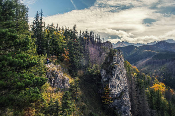 istock Tatra Mountains landscape, aerial view 1190204622