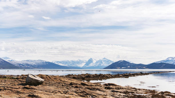 istock nature sceneries along the E6 from Narvik to Tromsoe 1190206052