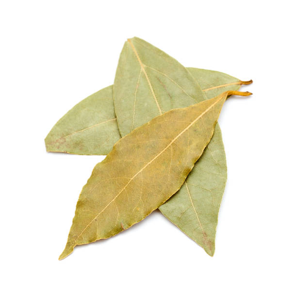 istock dry bay leaves isolated 1190206203