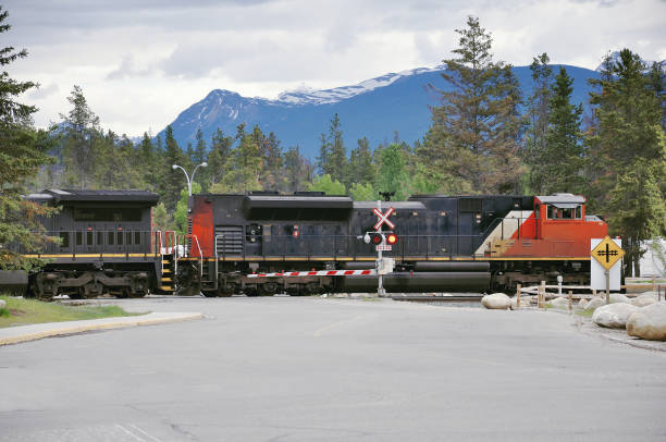 Freight train crosses the road in Jasper. Alberta. Canada.