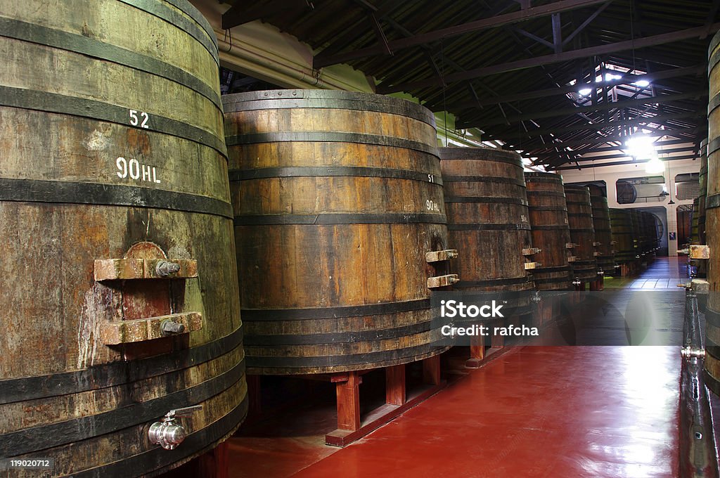 Barriles de vino en bodega de Argentina. - Foto de stock de Argentina libre de derechos
