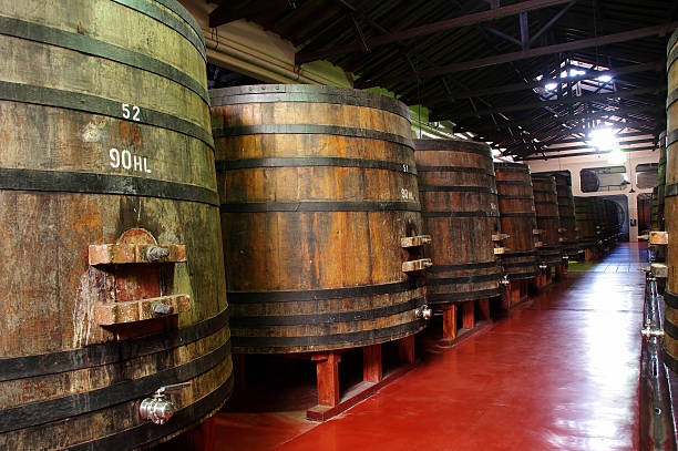 istock Wine barrels in a Argentinian winery. 119020712