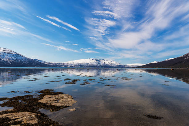 istock nature sceneries along the E6 from Narvik to Tromsoe 1190208172