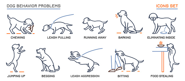 Dog Behavior Problems Icons Set Stock Illustration - Download Image Now -  Dog, Icon, Barking Animal - iStock