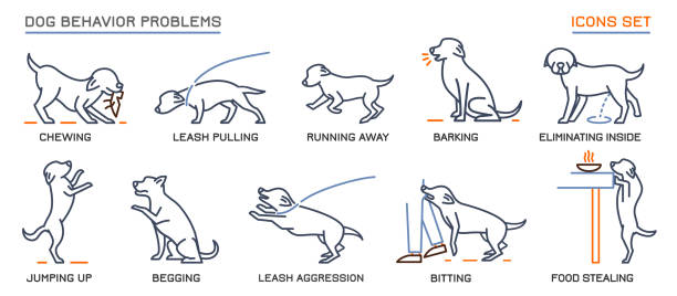 Dog Behavior Problems Icons Set Dog behavior icons set. Domestic animal or pet language. Chewing, begging, biting, food stealing. Doggy reaction. Simple icon, symbol, sign. Editable vector illustration isolated on white background obedience training stock illustrations