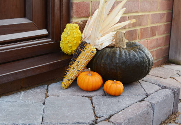 인도 옥수수와 장식 박을 곁들인 녹색 호박 - decoration corn door corn crop 뉴스 사진 이미지