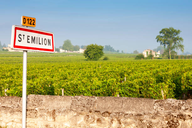 istock vineyards near Saint-Emilion, Bordeaux, Francie 1190211639