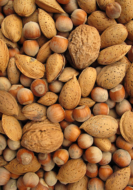 istock Nuts fruits walnut, almond and hazelnut 119021313