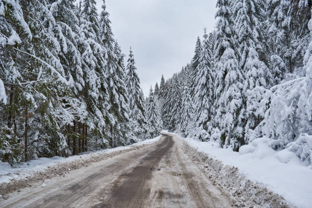 istock Winter landscape, forest and a road 1190214901