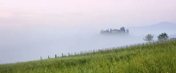 Photo of Tuscany landscape at sunrise. Typical for the region tuscan farm house, hills, vineyard. Italy Fresh Green tuscany landscape in spring time. Beautiful foggy landscape concept