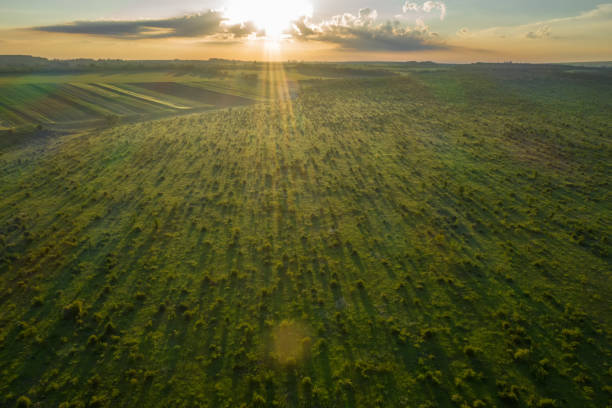 istock Dawn the sun field, across the field sun rays are piercing 1190216673