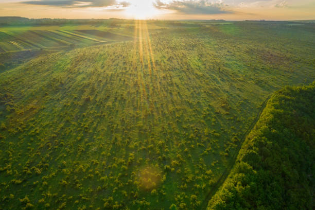 istock Dawn the sun field, across the field sun rays are piercing 1190216715