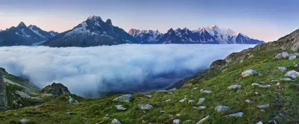 Photo of Colorful summer view of the Mont Blanc (Monte Bianco) on background, Chamonix location. Beautiful outdoor scene in Vallon de Berard Nature Reserve, Aiguilles Rouges, Graian Alps, France, Europe.