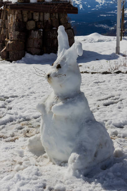A rabbit made of snow