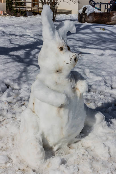 istock A rabbit made of snow 1190219916