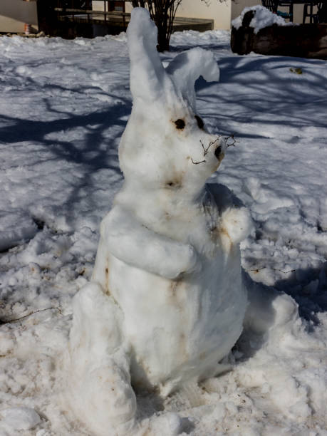istock A rabbit made of snow 1190219929