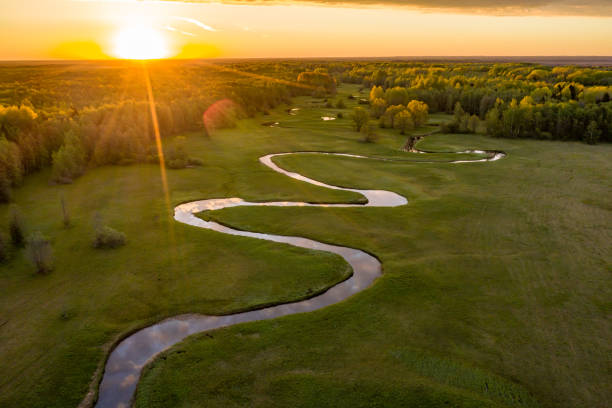 Forest in summer colors. Green deciduous trees and winding blue river in sunset. Mulgi heinamaa, Estonia, Europe Forest in summer colors. Green deciduous trees and winding blue river in sunset. Mulgi meadow, Estonia, Europe Lea stock pictures, royalty-free photos & images