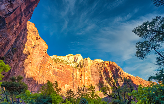 The stunning red cliffs of the Amphitheater, Zion National Park, Springdale, Utah, USA