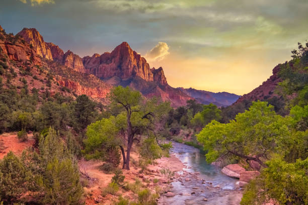 istock Zion National Park, Springdale, Utah, USA 1190229283