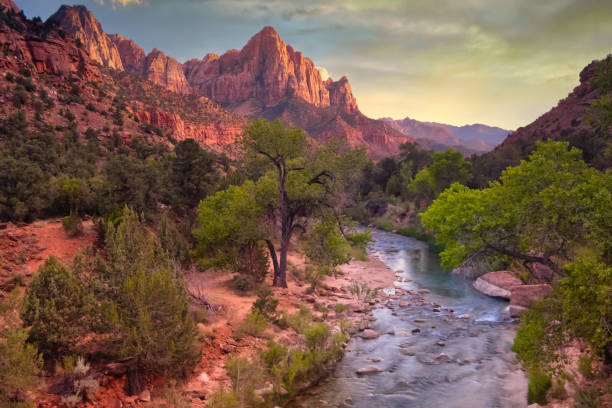 istock Zion National Park, Springdale, Utah, USA 1190229306