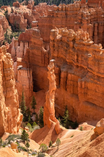 istock Bryce Canyon National Park, Utah, USA 1190235135