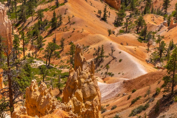istock Bryce Canyon National Park, Utah, USA 1190235146