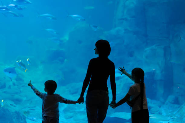 家族は水族館の近くに立ち、魚を見ている - 水族館 ストックフォトと画像