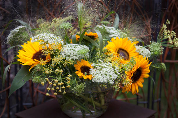 осенний букет с подсолнухами в стеклянной вазе - autumn backdrop beautiful flower head стоковые фото и изображения