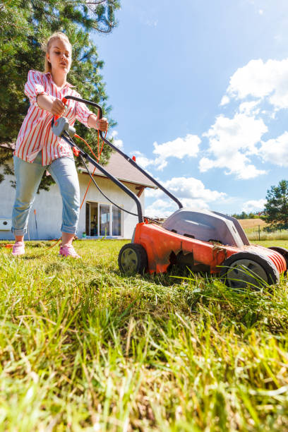 istock Woman mowing green grass 1190244959