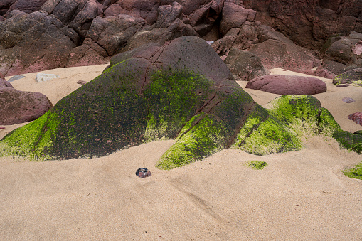 Beautiful stones on a beach in Portugal