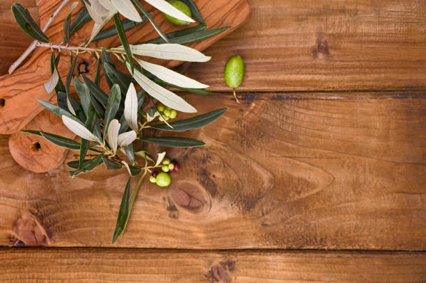 istock Olives with table. Wooden table with olive trees. Free space for text 1190253633