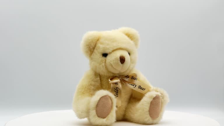 Teddy bear on a white background