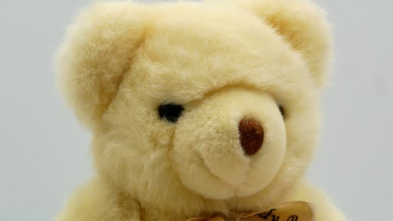 Teddy bear on a white background