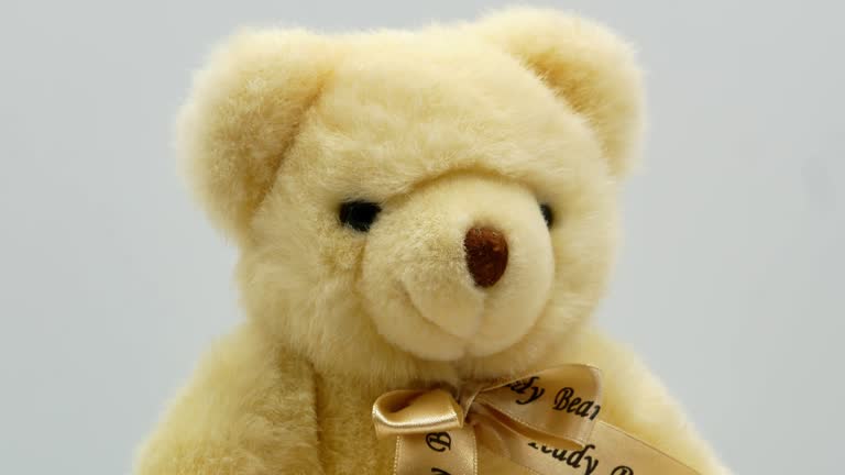 Teddy bear on a white background