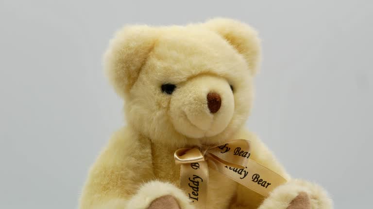 Teddy bear on a white background