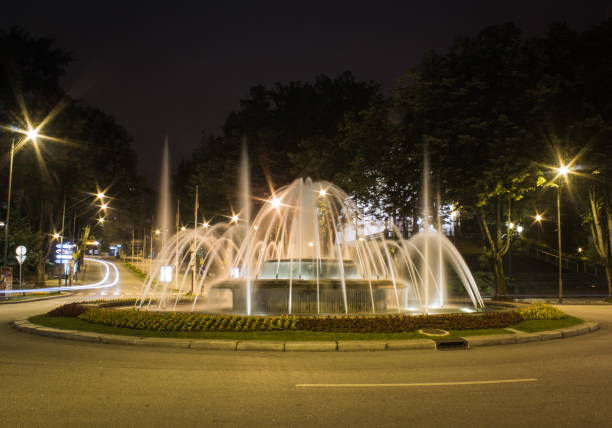 istock Fountain at night in Viseu city 1190264339