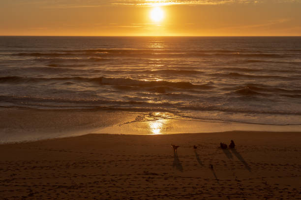 istock family enjoying the sunset 1190264348