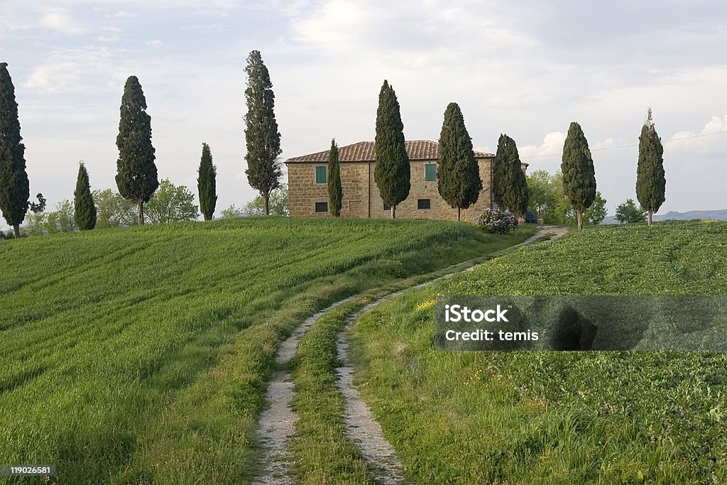 トスカーナの風景 - イタリアのロイヤリティフリーストックフォト